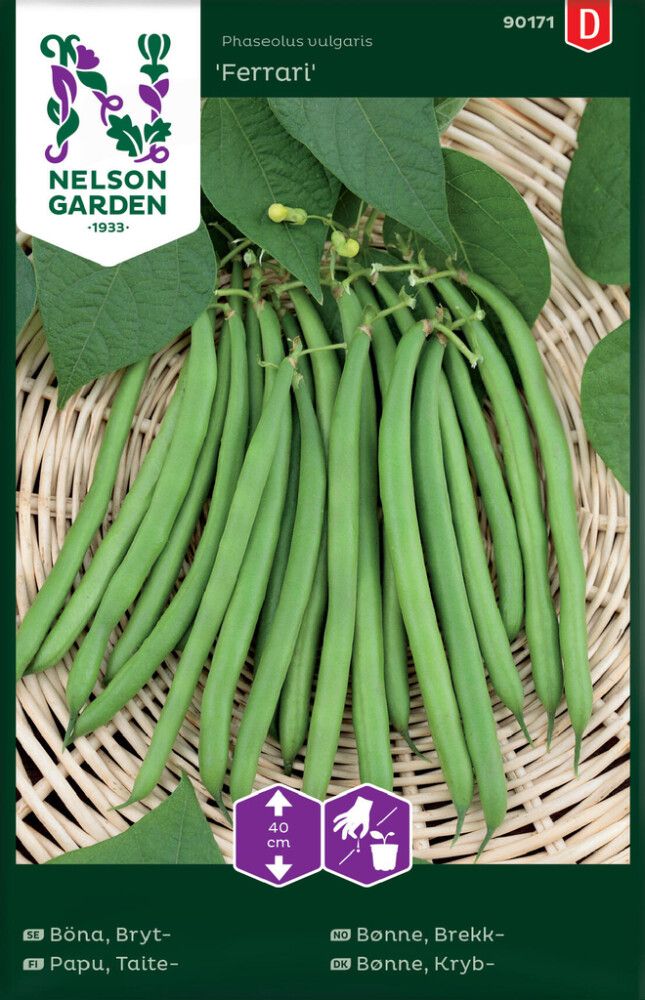 Taitepapu Nelson Garden