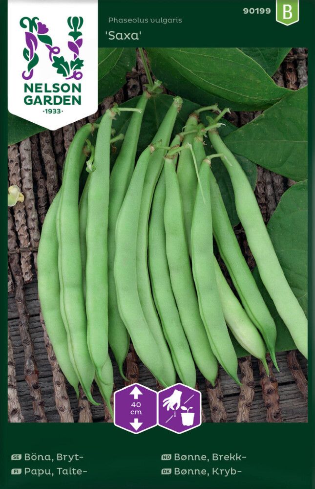 Taitepapu Nelson Garden Saxa