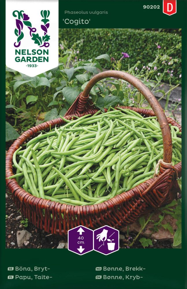 Taitepapu Nelson Garden Cogito