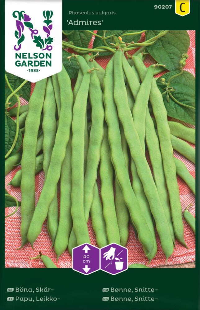 Leikkopapu Phaseolus vulgaris Admires