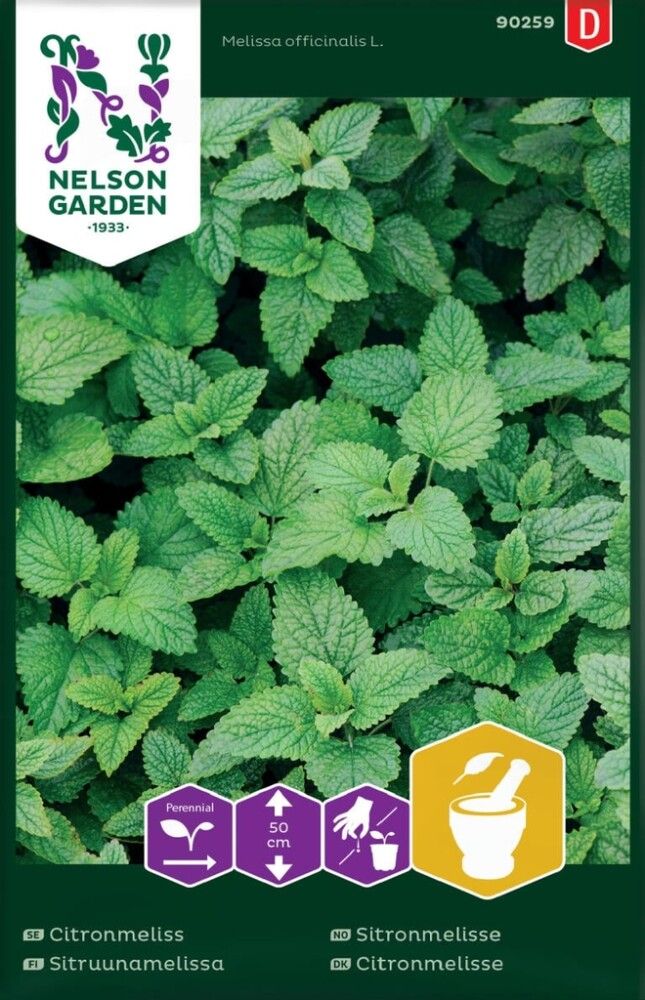 Sitruunamelissa Nelson Garden