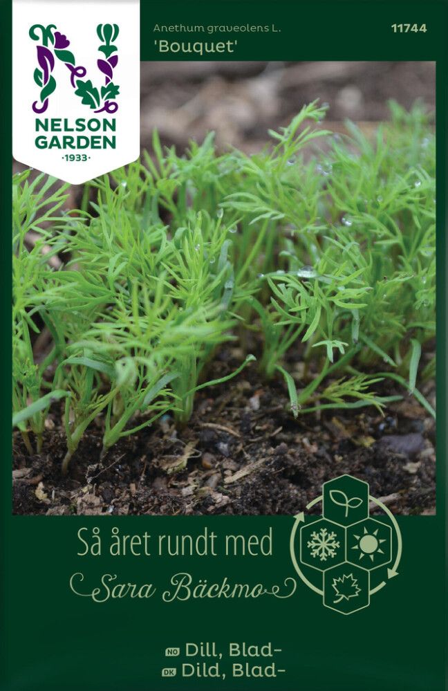 Tilli Nelson Garden Bouquet