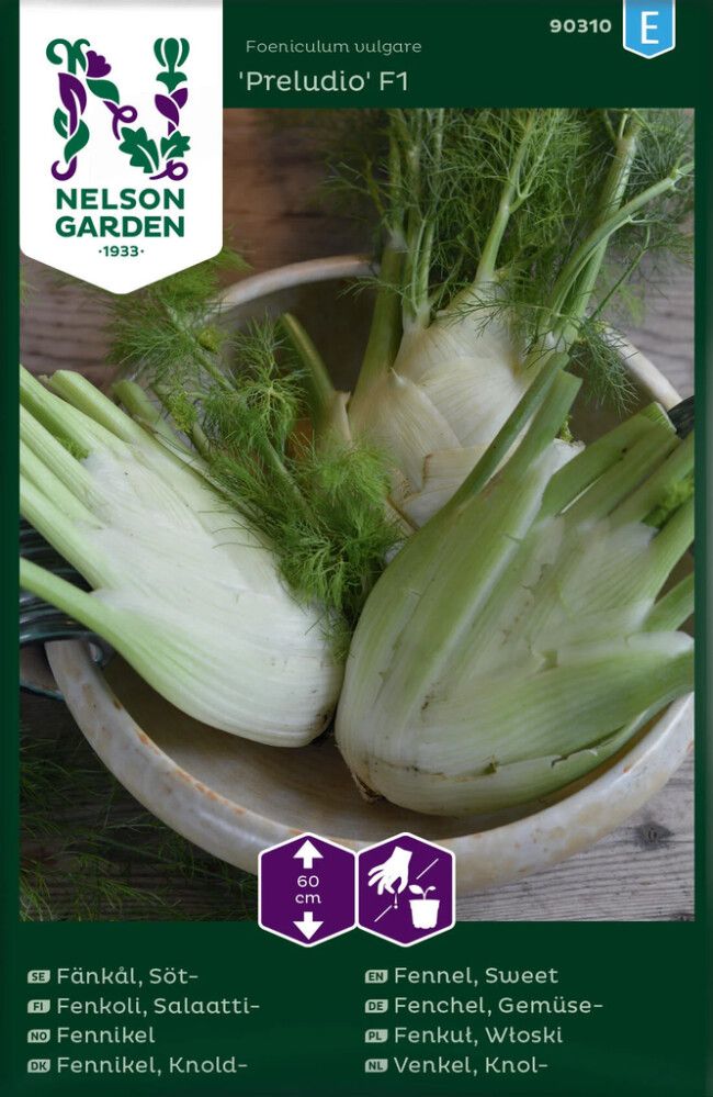 Salaattifenkoli Foeniculum vulgare Preludio