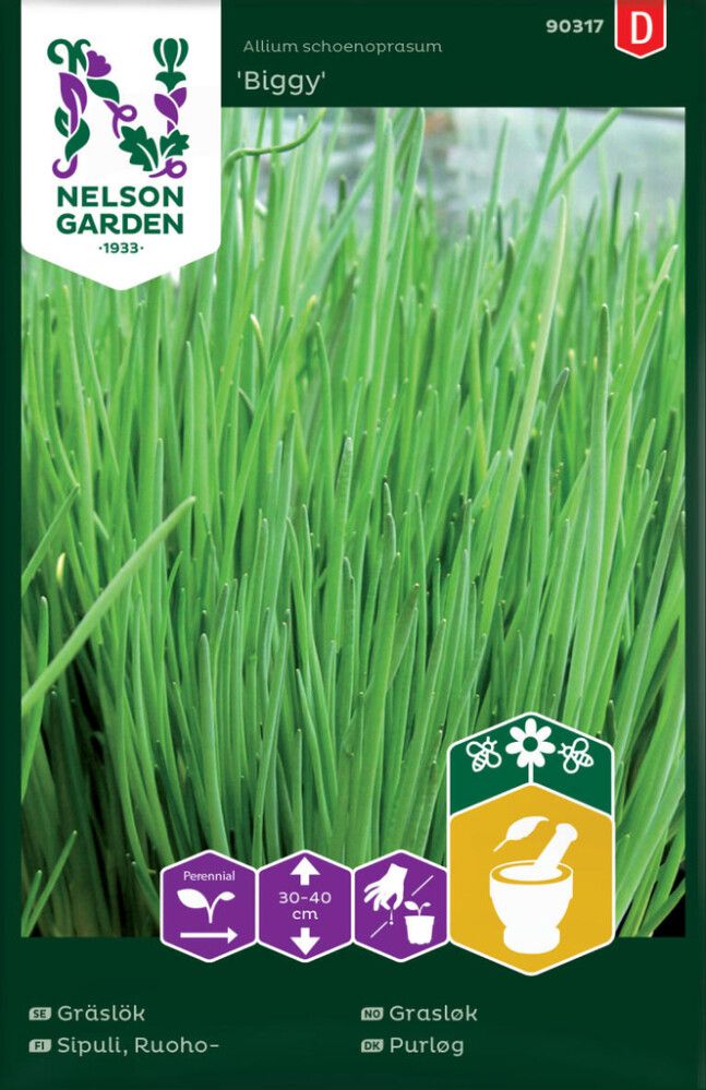 Ruohosipuli Nelson Garden Biggy