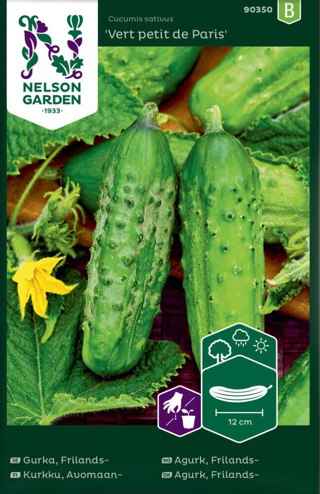 Avomaankurkku Nelson Garden Vert petit de Paris