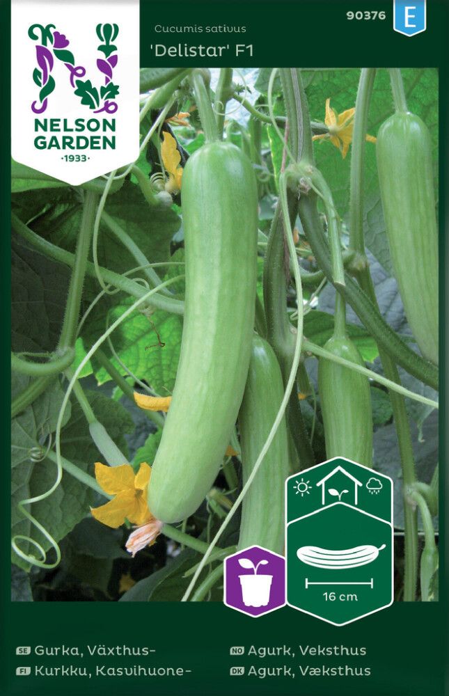 Kasvihuonekurkku Nelson Garden Delistar F1