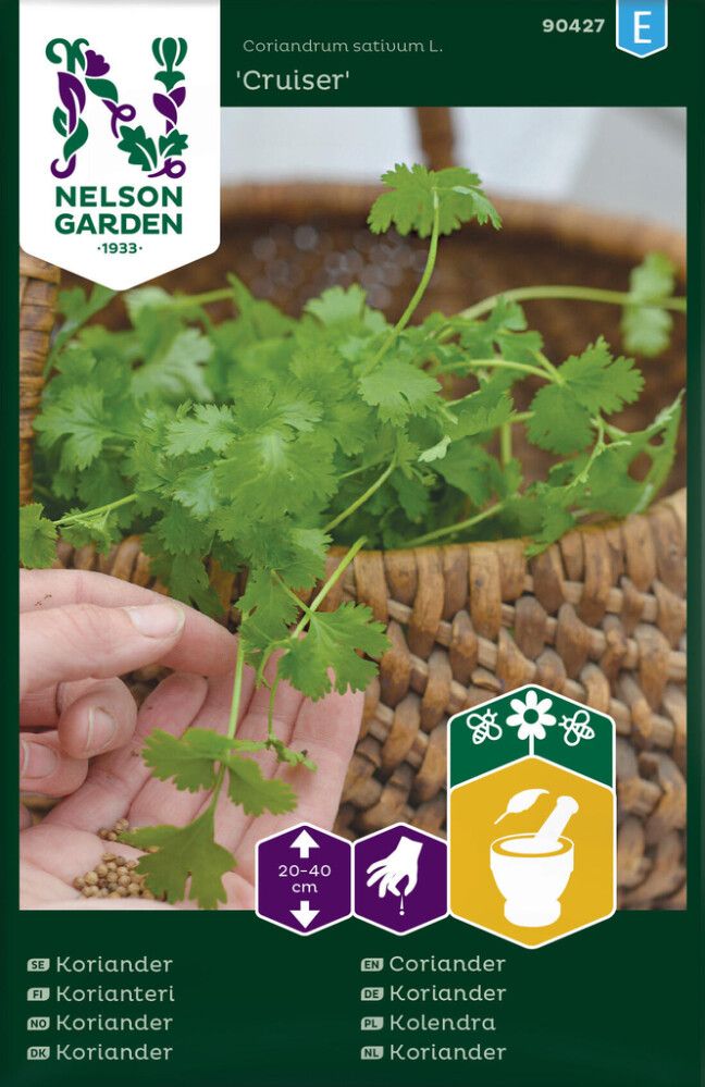 Korianteri Nelson Garden Cruiser