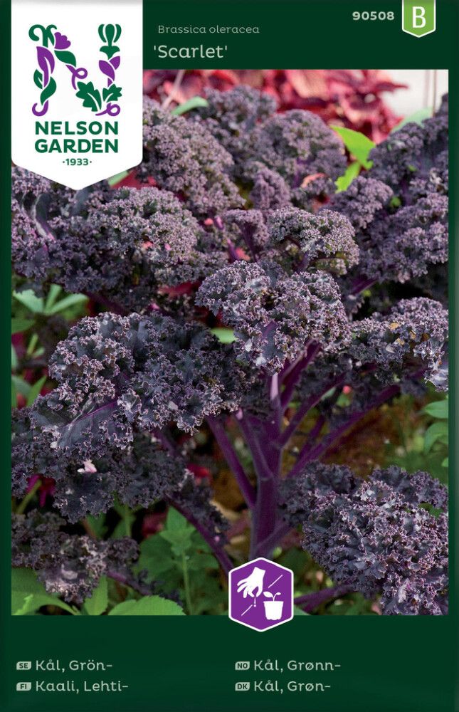 Lehtikaali Nelson Garden Scarlet