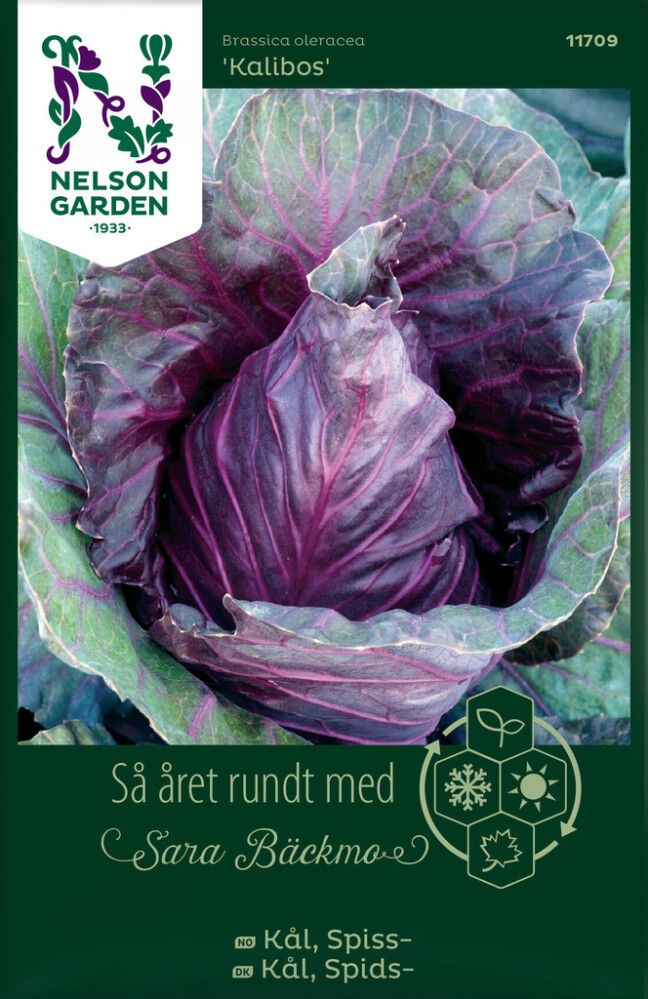 Suippokaali Nelson Garden Kalibos