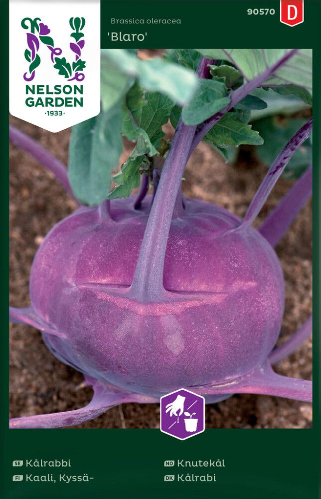 Kyssäkaali Nelson Garden Blaro