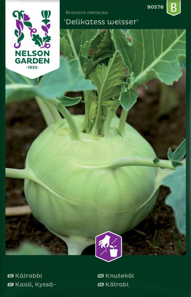 Kyssäkaali Nelson Garden Delikatess Weisser