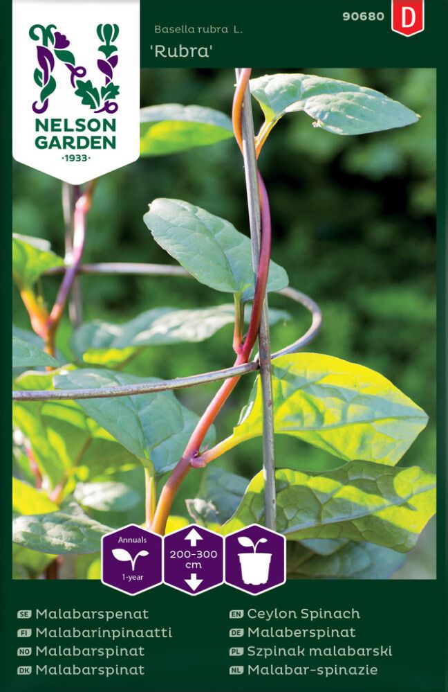 Malabarinpinaatti Nelson Garden Rubra