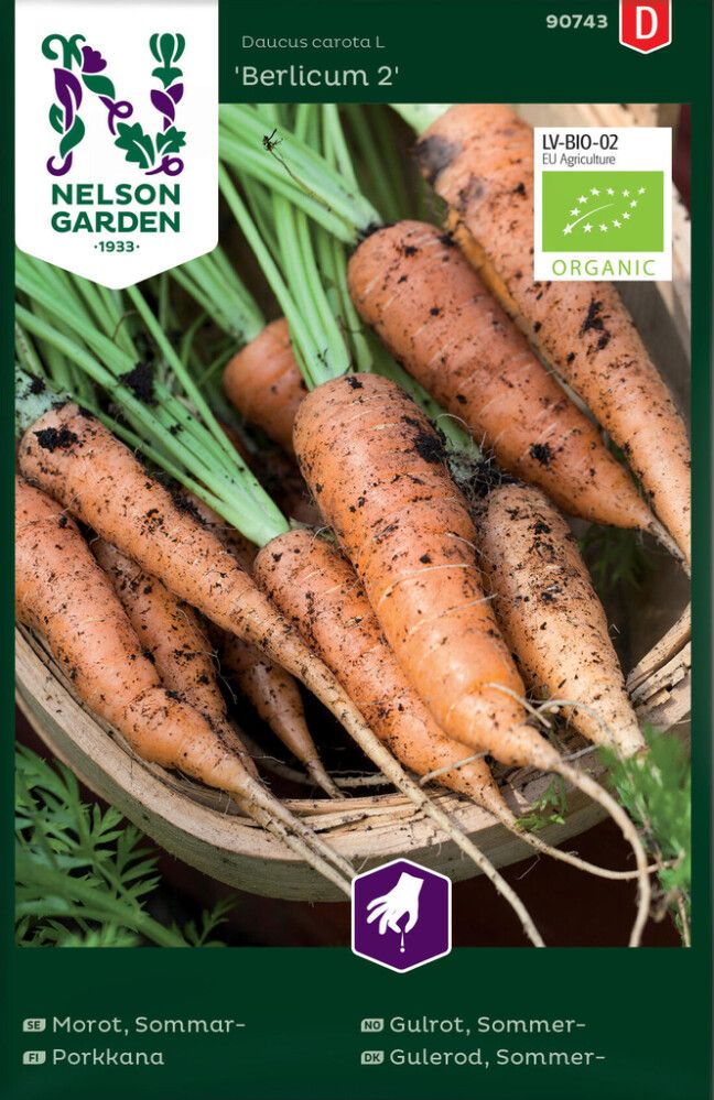 Kesäporkkana Nelson Garden Berlicum