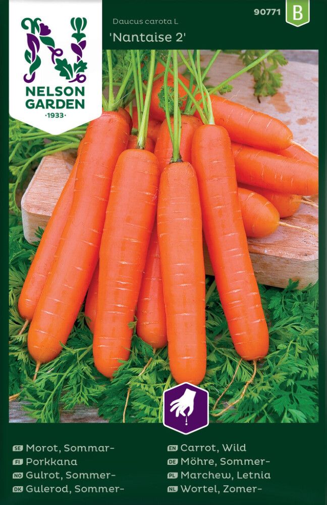 Kesäporkkana Nelson Garden Nantaise