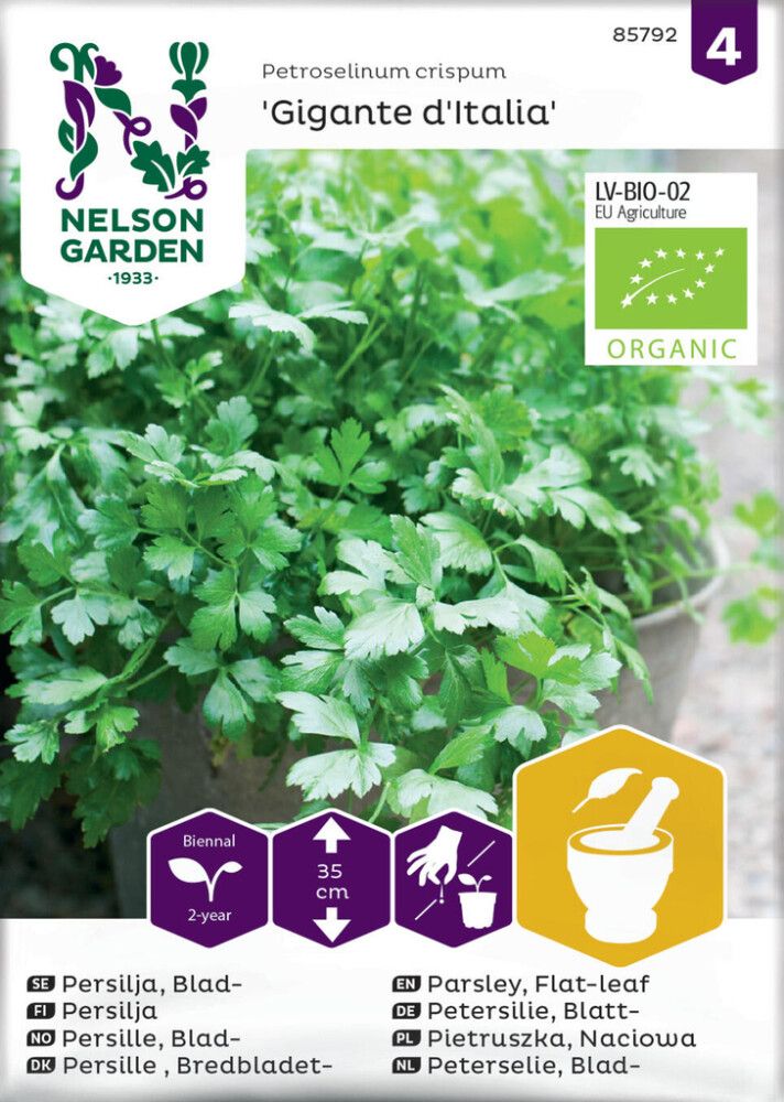Persilja Nelson Garden sileälehtinen Gigante Italia