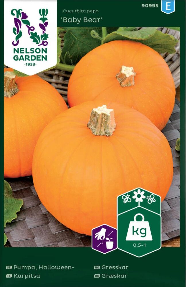 Kurpita Nelson Garden Baby Bear