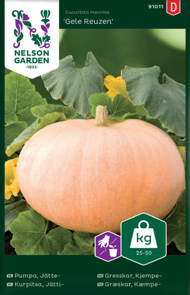 Jättikurpitsa Nelson Garden Gele Reuzen