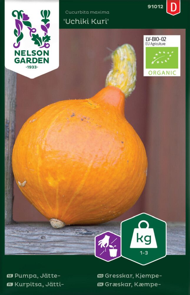 Jättikurpitsa Nelson Garden Uchiki Kuri