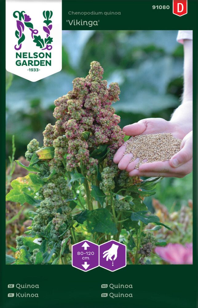 Kvinoa Nelson Garden Vikinga