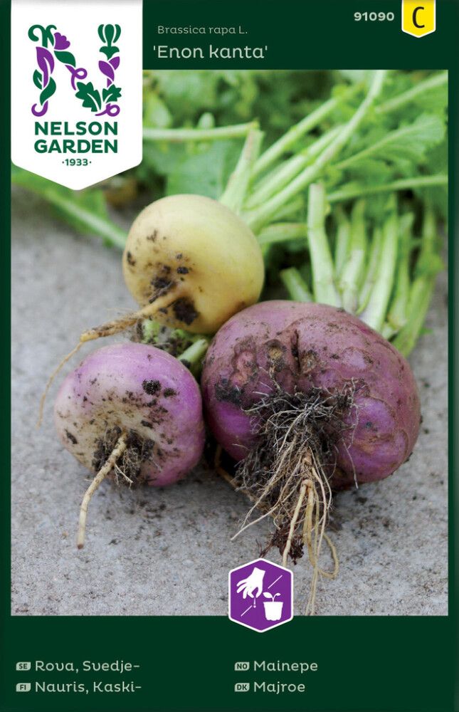 Kaskinauris Nelson Garden Enon kanta