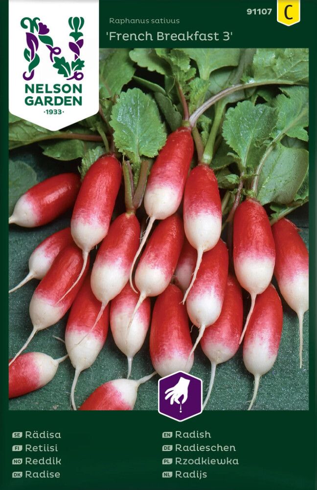 Retiisi Nelson Garden French Breakfast