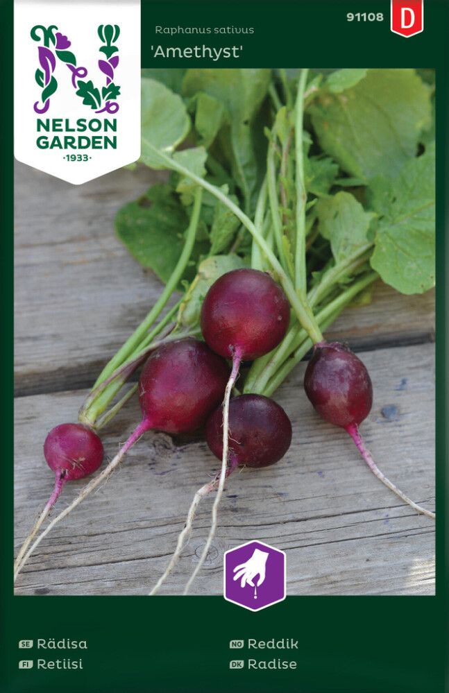 Retiisi Nelson Garden Amethyst