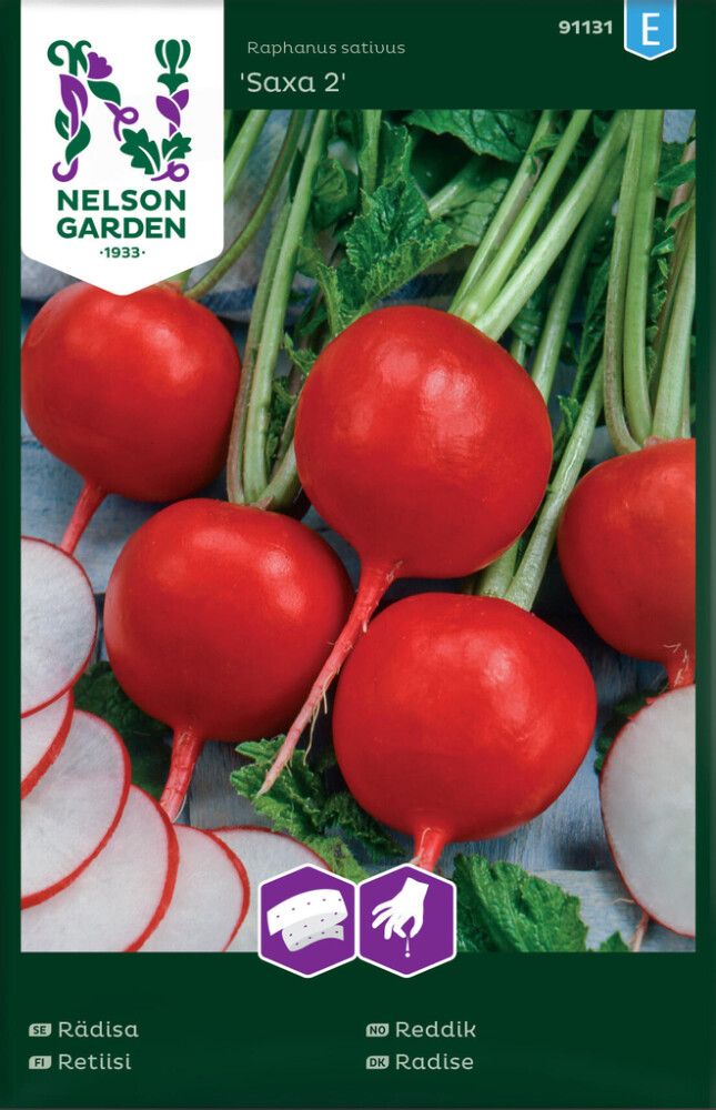 Retiisi Nelson Garden Saxa 2