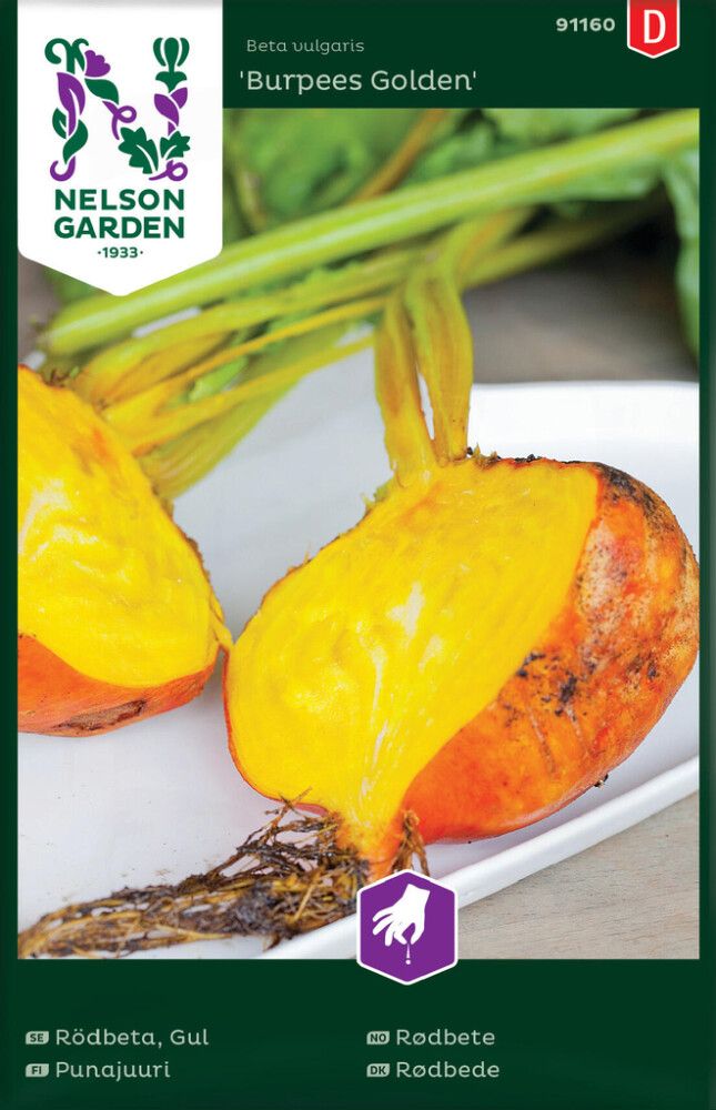 Punajuurikas Nelson Garden Burpees Golden