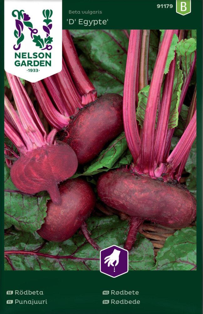 Punajuuri Nelson Garden dEgypte