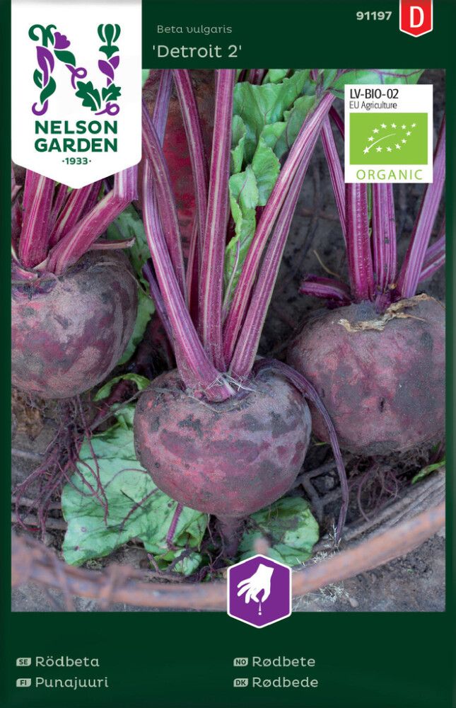 Punajuuri Nelson Garden Detroit