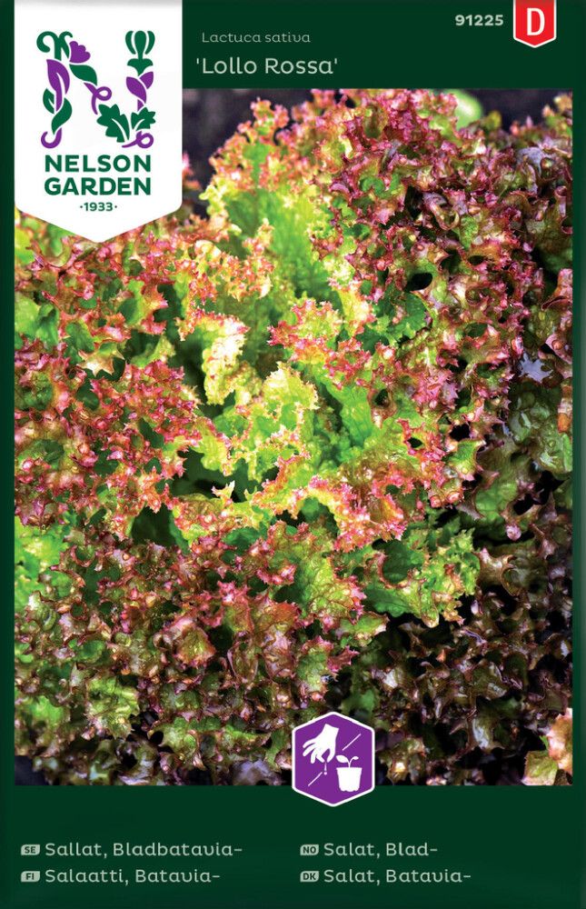 Bataviasalaatti Nelson Garden Lollo Rossa