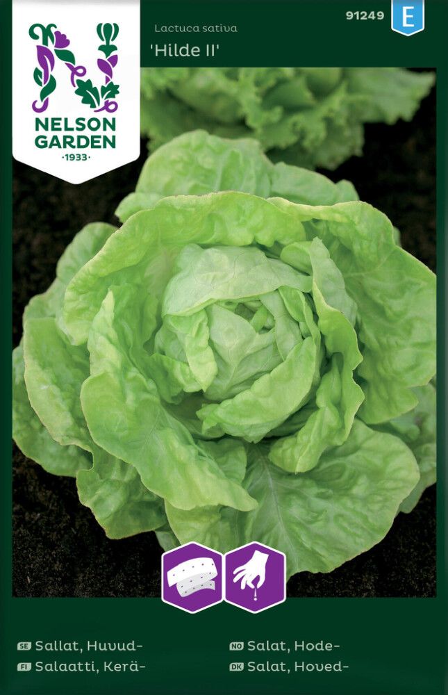 Keräsalaatti Nelson Garden Hilde