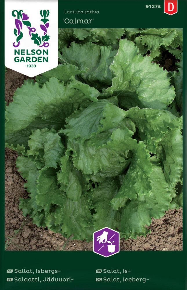 Jäävuorisalaatti Nelson Garden Calmar