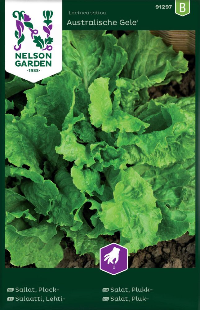 Lehtisalaatti Nelson Garden Australische Gele