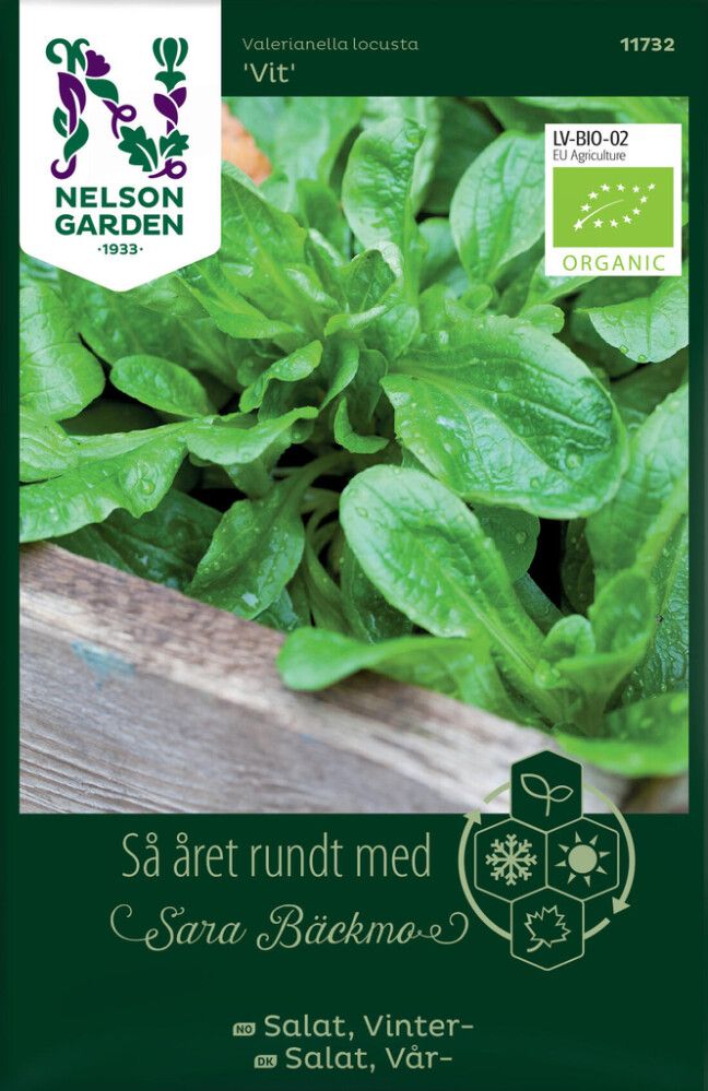 Salaattivuonankaali Nelson Garden Vit