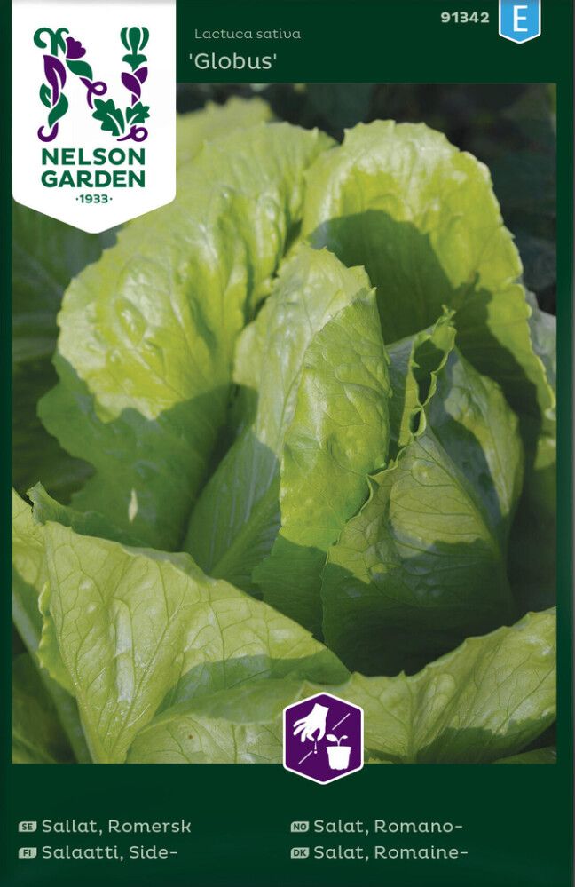 Sidesalaatti Nelson Garden Globus