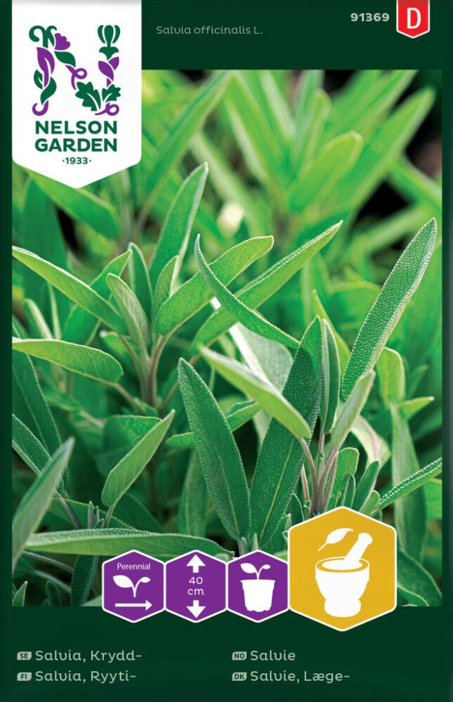 Ryytisalvia Nelson Garden