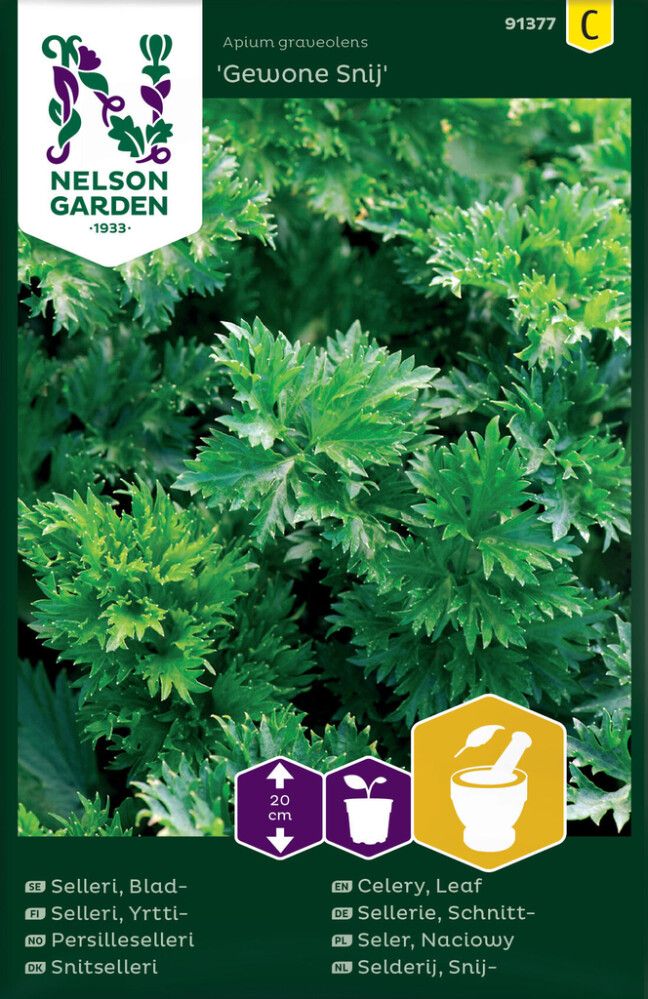 Yrttiselleri Nelson Garden Gewone Snij