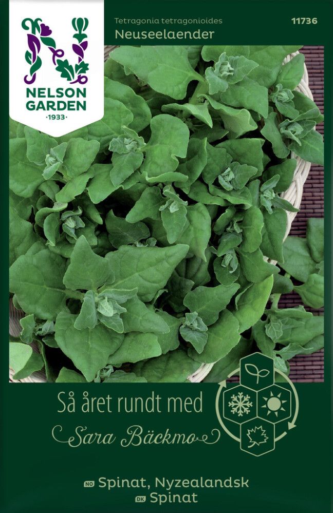 Lamopinaatti Nelson Garden Neuseelaender