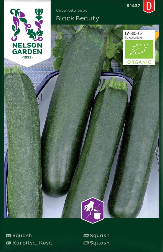 Kesäkurpitsa Nelson Garden Black Beauty