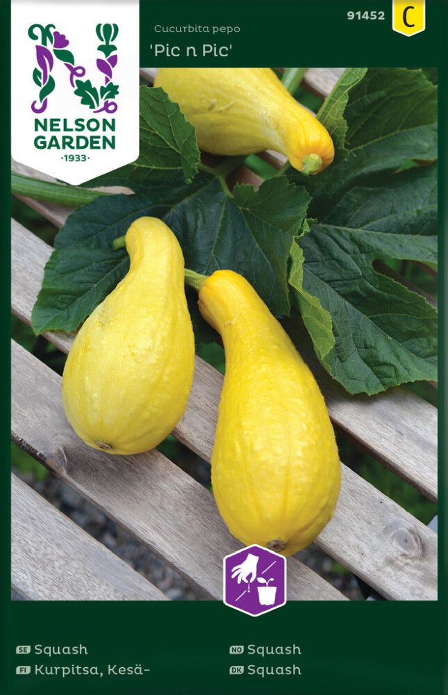 Kesäkurpitsa Nelson Garden PicnPic