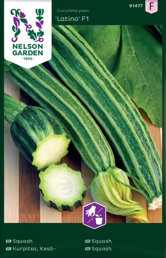 Kesäkurpitsa Nelson Garden Latino F1