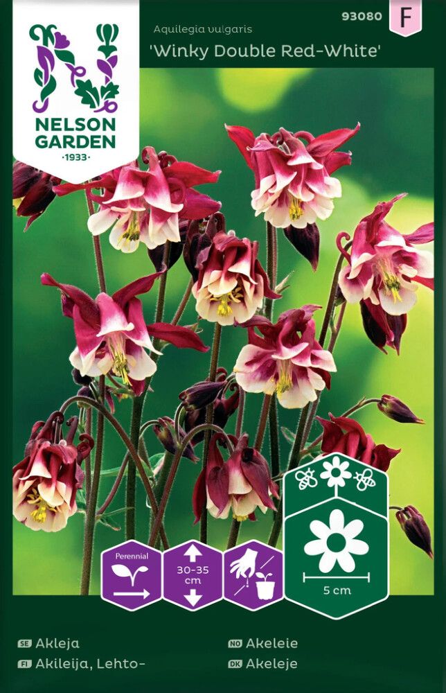 Lehtoakileija Nelson Garden Winky Double Red-White