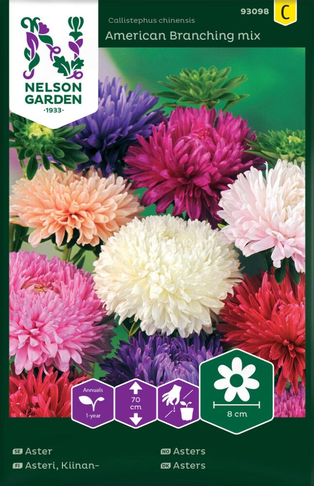 Kiinanasteri Nelson Garden American Branching mix