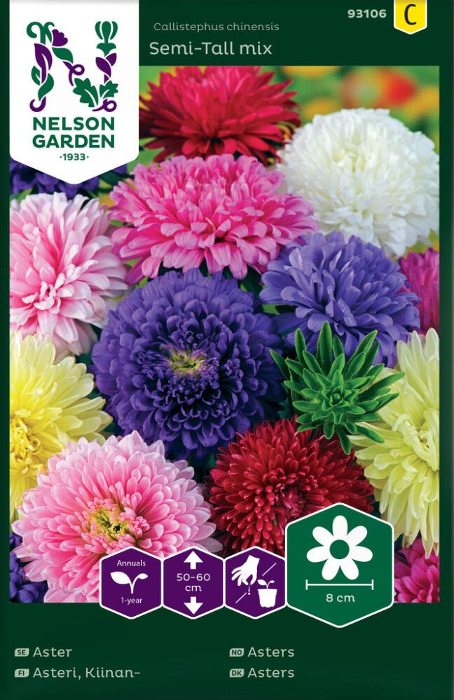 Kiinanasteri Nelson Garden Semi-Tall Mix