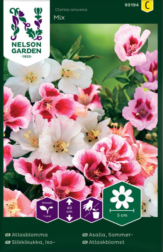 Isosilkkikukka Mix Nelson Garden