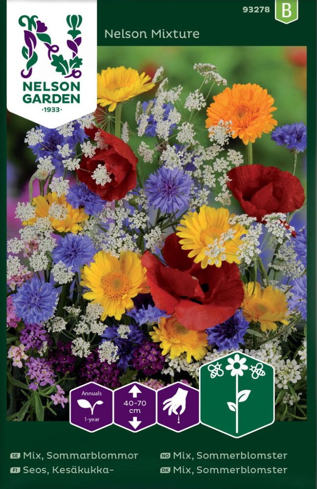 Kesäkukka Nelson Mixture