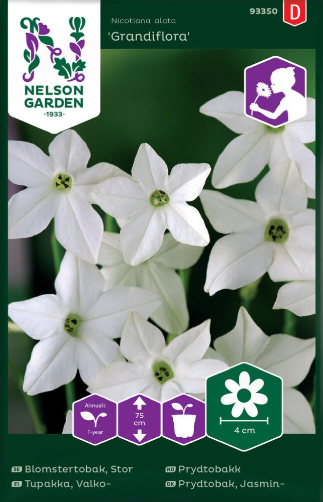 Koristetupakka Nelson Garden Grandiflora