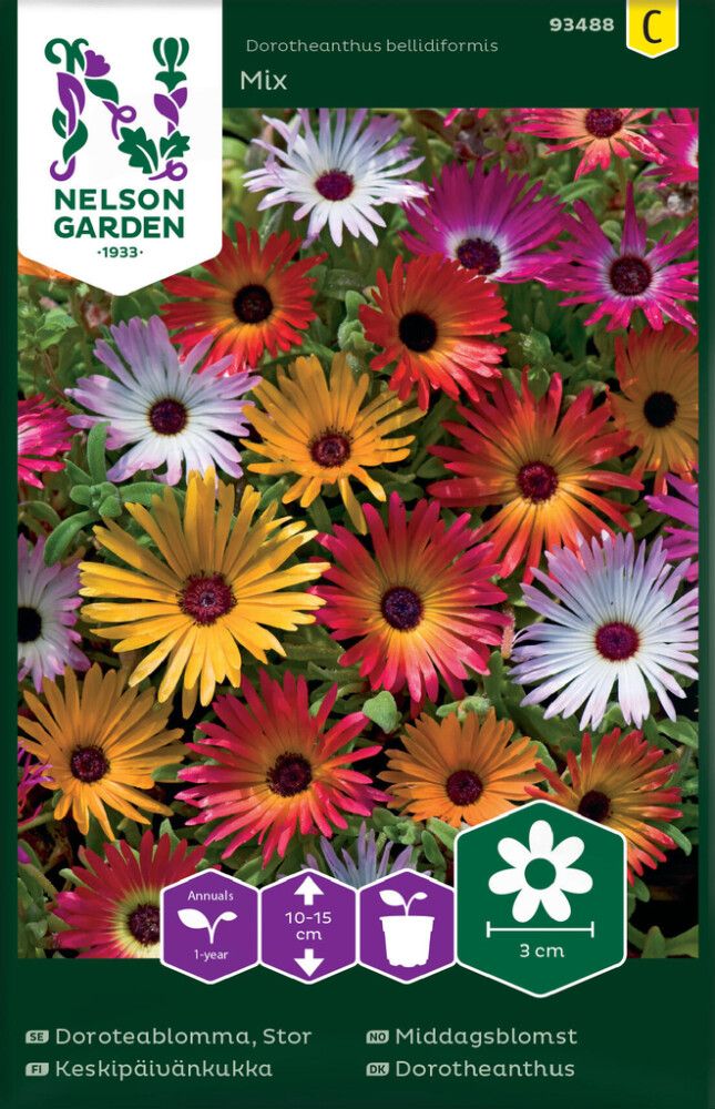 Keskipäivänkukka Mix Nelson Garden