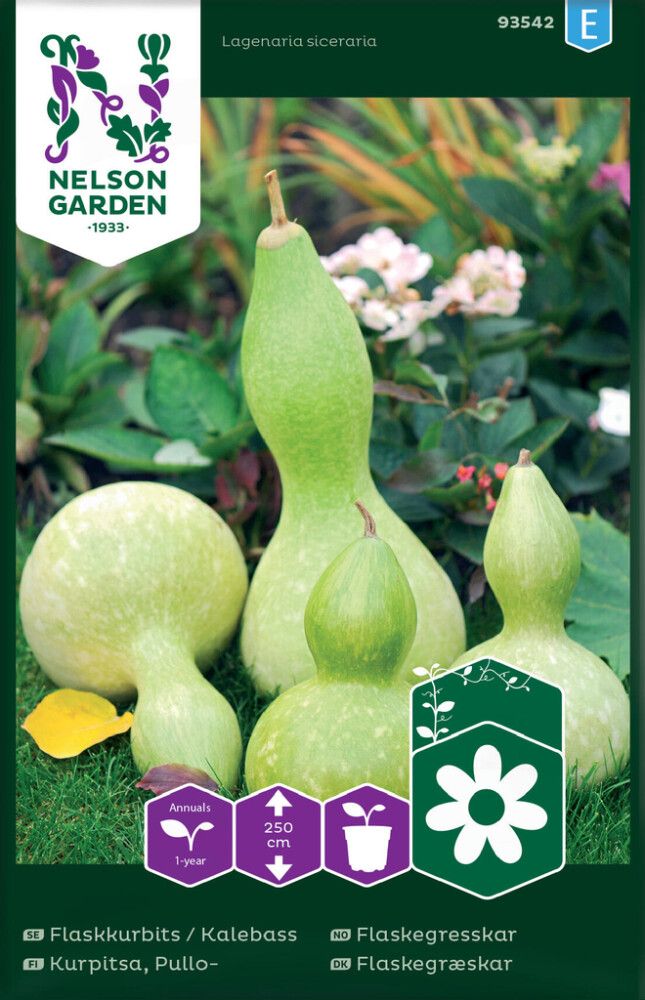 Pullokurpitsa Nelson Garden